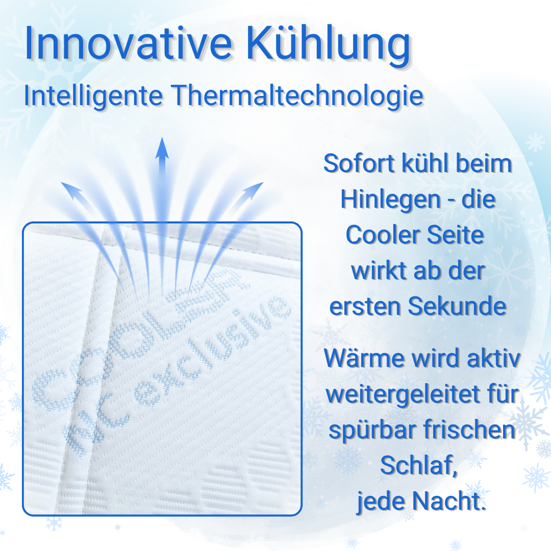 NC Exclusive Matratze mit innovativem Kühlbezug 25 cm 540 Federn/2m²